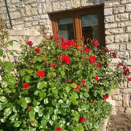 Appartement Dora Gardasee *